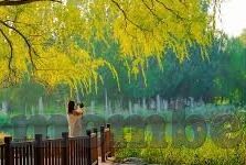 韩国历来世界杯-韩国足球，在世界杯舞台上的坚韧之旅