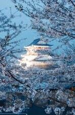 玩极速百家乐登录网址-玩极速百家乐，探索在线赌博的灰色地带
