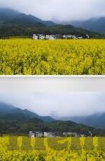 足球各大联赛比赛比分-绿茵烽火连三月，全球顶级联赛最新比分全解析与战术洞察